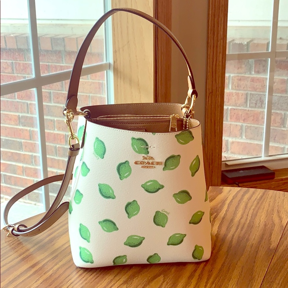 NEW PERFECT CONDITION COACH small town bucket bag